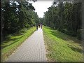 Pohled na cyklostezku