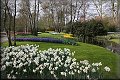 Keukenhof zahrady