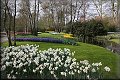 Keukenhof zahrady