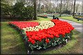 Pohled na Keukenhof zahrady