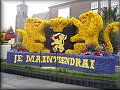 Pohled na BloemenCorso