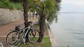 Pohled na kola u palem