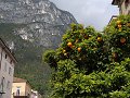 Pomeranče v Rivě del Garda